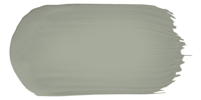 Half Olive Grove - Limewash sample color swatch