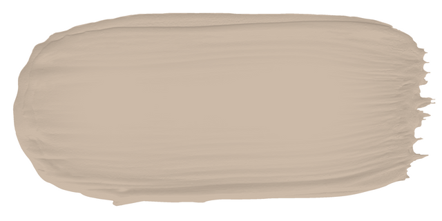 Pebble Cream - Limewash sample color swatch