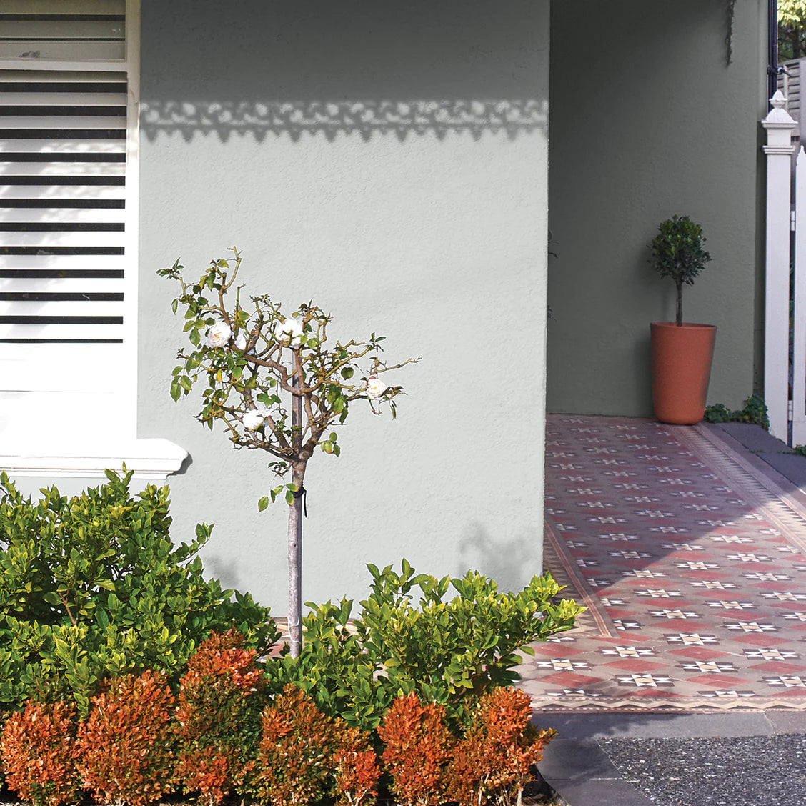 Shell Grey: A Mid-tone Grey Paint A warmer shade of grey that is cozy in interiors, and elegant on exteriors. *Sample jars of Shell Grey are only available in Eggshell Acrylic