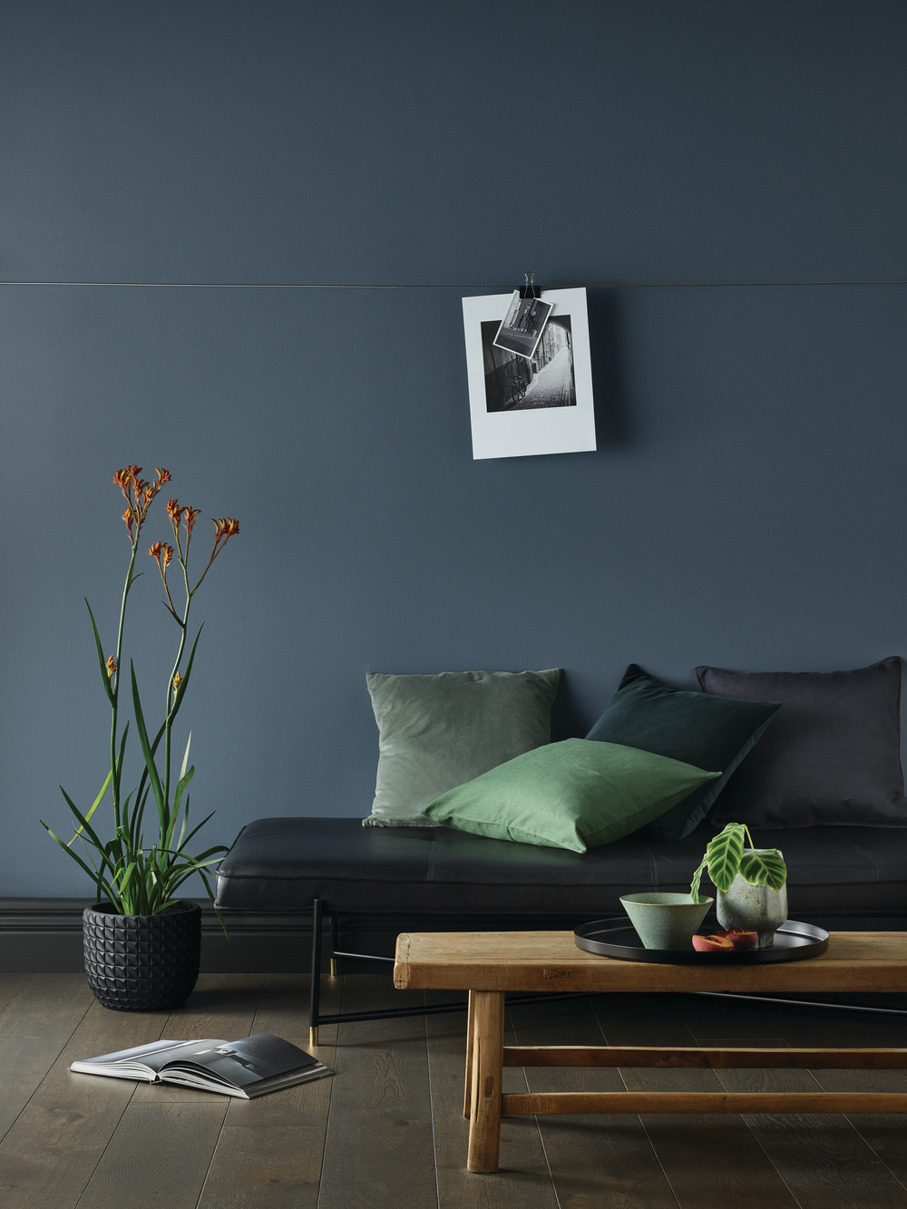 Eggshell finish, Gunmetal Grey
Caption: With a mix of antique and modern furniture, this stunning room @seaview_in_the_glebe in Hobart, Tasmania is both rich and inviting. Featuring &