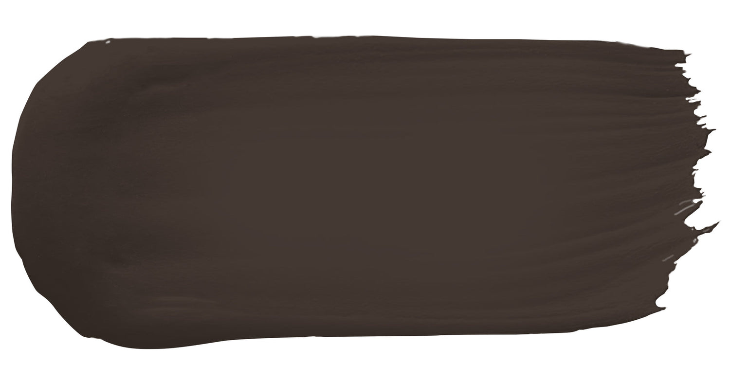 Turkish Coffee color paint sample