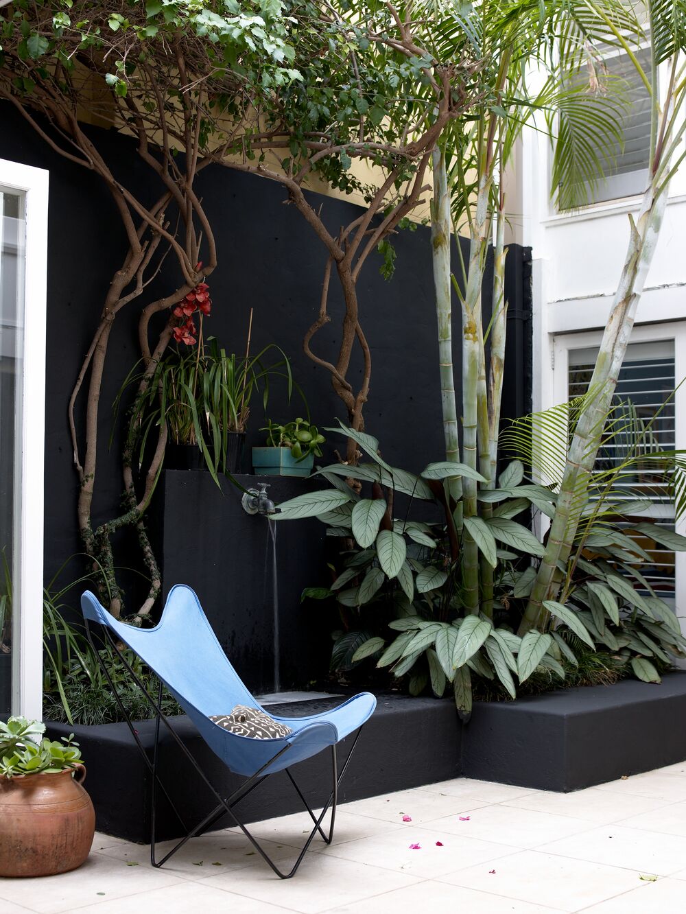 Modern outdoor setting with a light blue chair, plants, and a wall painted in STONE PAINT in the color ANISEED, a deep black from Sydney Harbour Paint Company.