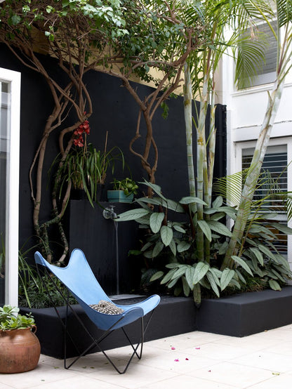 Modern outdoor setting with a light blue chair, plants, and a wall painted in STONE PAINT in the color ANISEED, a deep black from Sydney Harbour Paint Company.