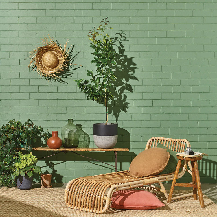 Sydney Harbour's Bayleaf  in Eggshell Acrylic is an elegant green that is both bold and calming, creating a tranquil vibe. A complex warm green with earthy undertones.  Mid Tone Green Paint. Very Popular Green