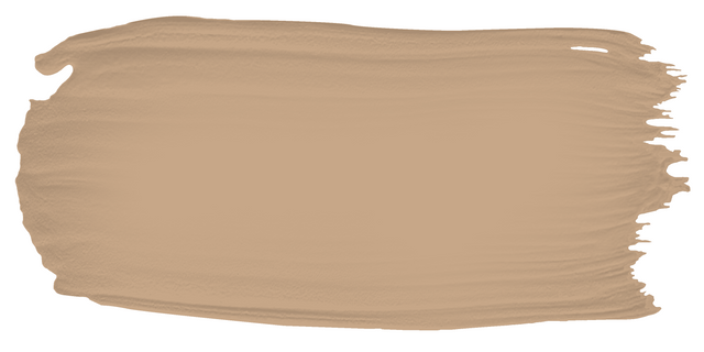 Camino Clay - Limewash sample color swatch