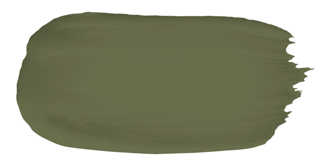 Daintree - Limewash sample color swatch