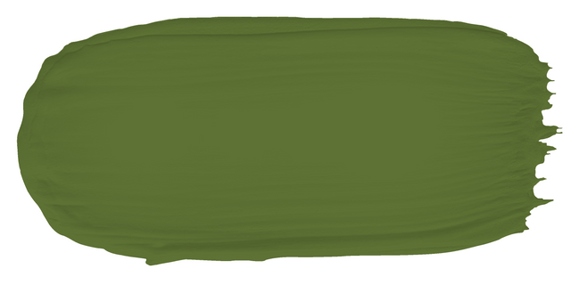 Galway Green - Limewash sample color swatch