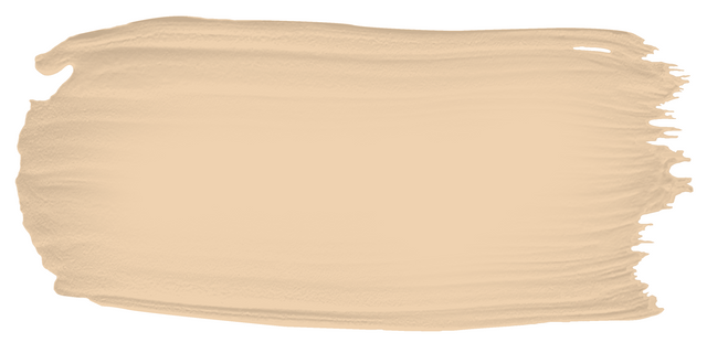 Hound Cream - Limewash sample color swatch