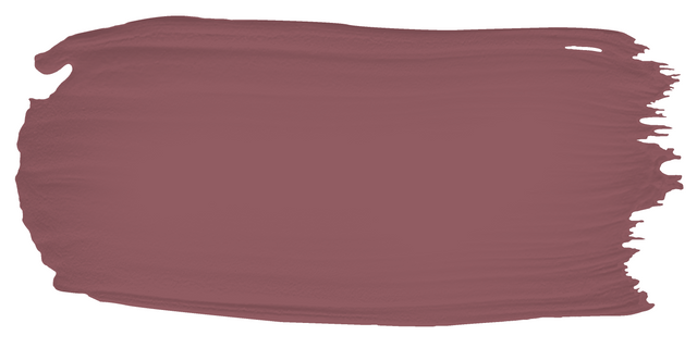 Plum - Limewash sample color swatch