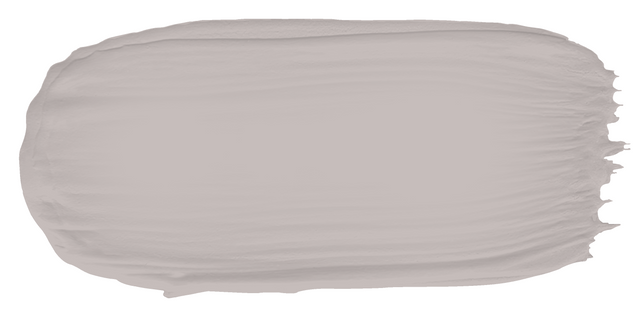 Turtle Dove - Limewash sample color swatch