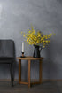 Gray Fresco wall texture with black chair and side table with yellow flowers 