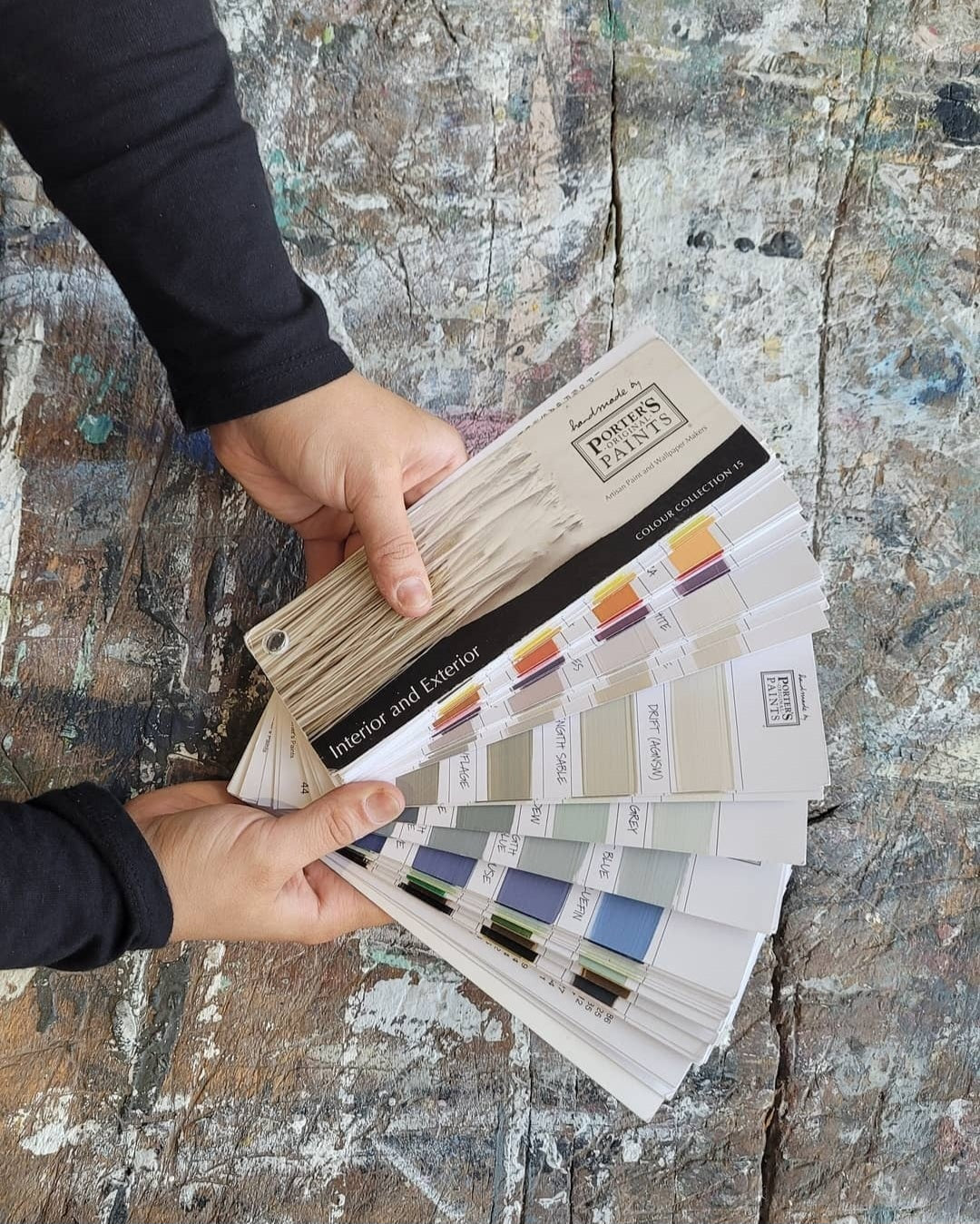 interior designer holding a sydney hrabour paint company made by Porter&