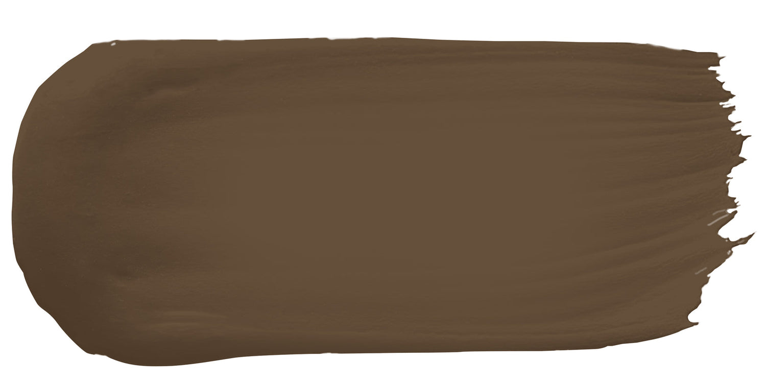 Allspice paint color example
