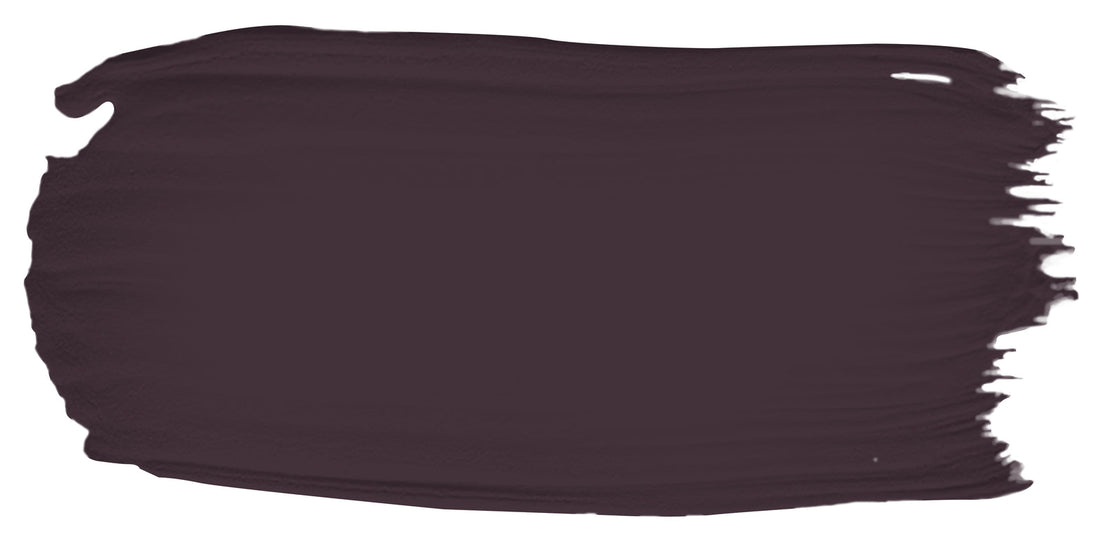 Black Grape color paint sample