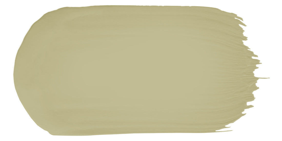 Calm Green color paint sample