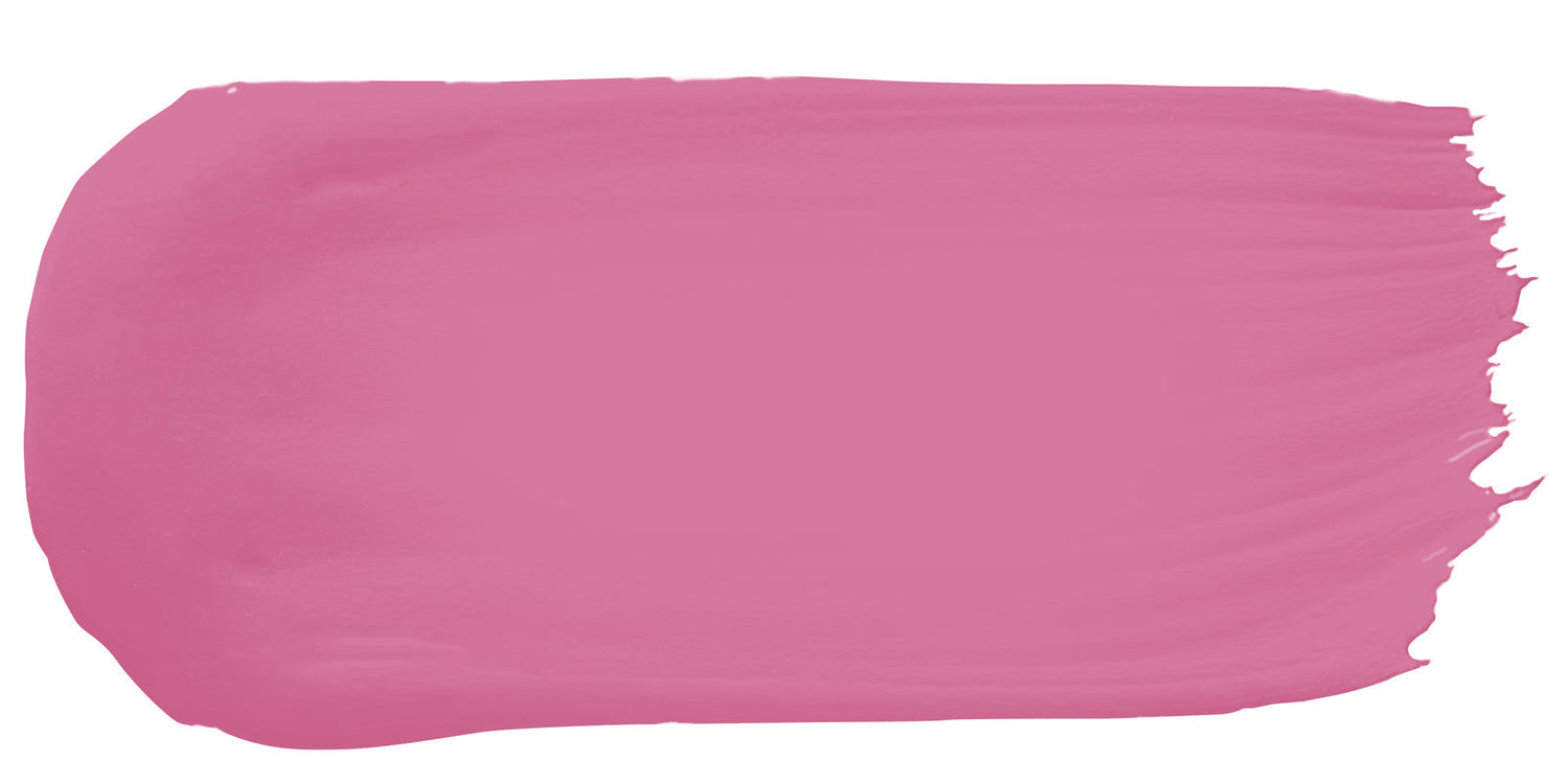 Flamingo color paint sample