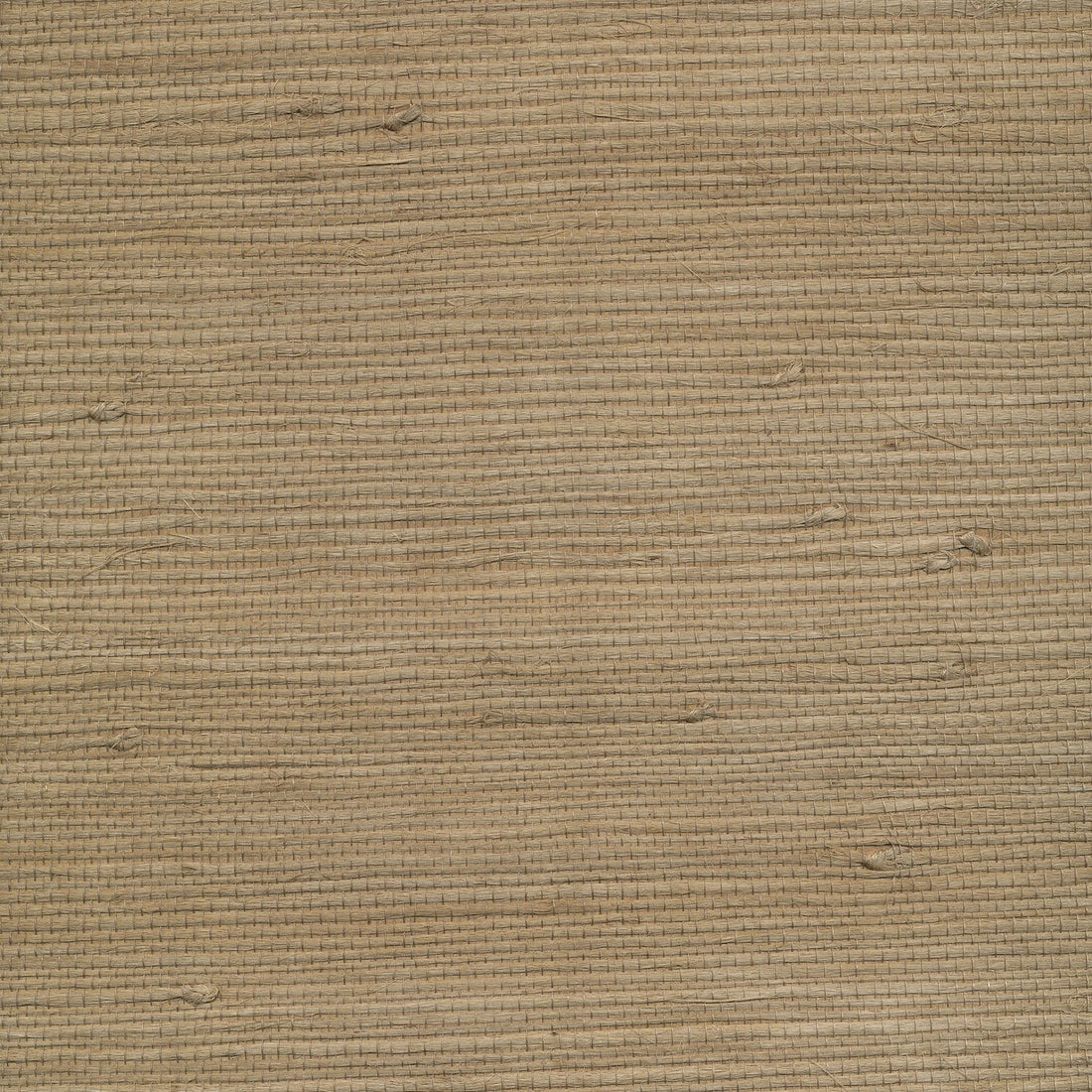 Grasscloth Jute