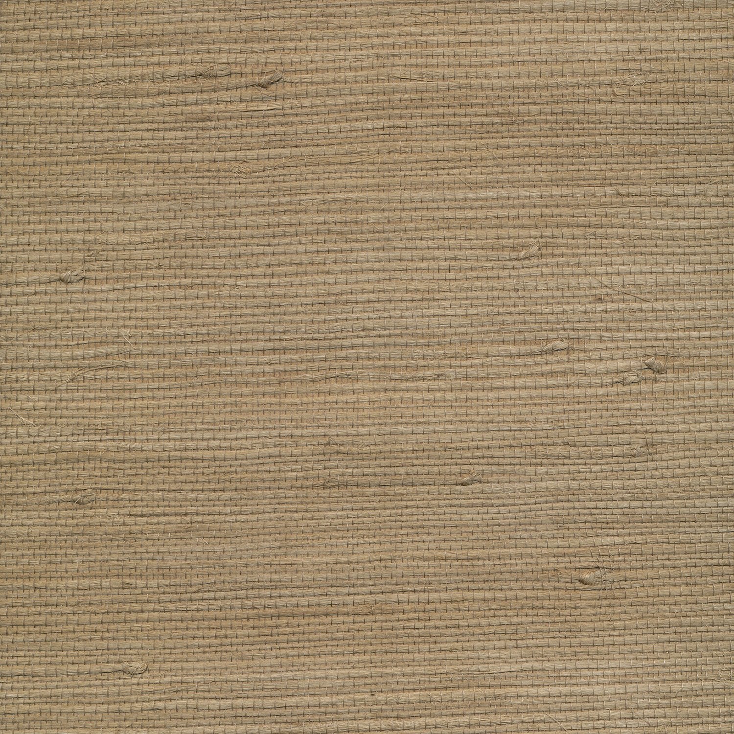 Grasscloth Jute