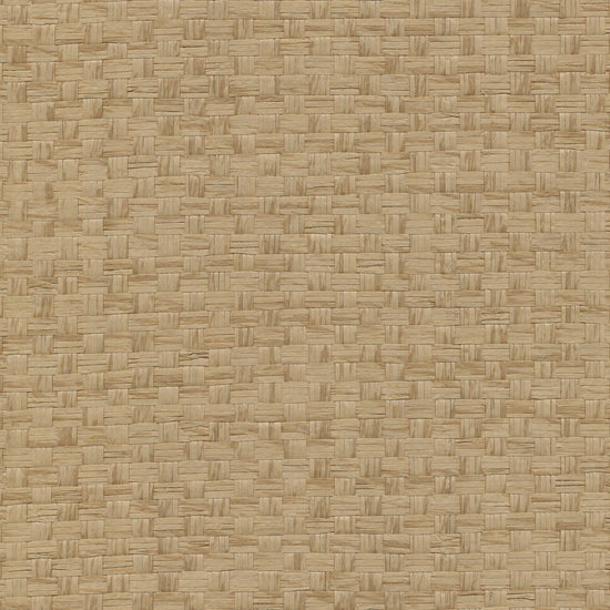 Grasscloth Basketweave