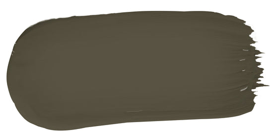 Gully Green color fresco plaster sample