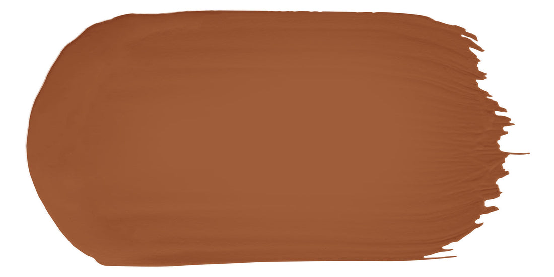 Hot Ginger color paint sample