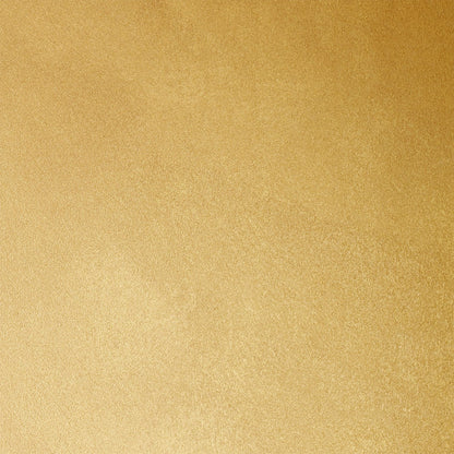 LIQUID GOLD PAINT  Color ANTIQUE GOLD