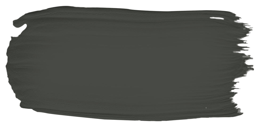 Nori color paint sample