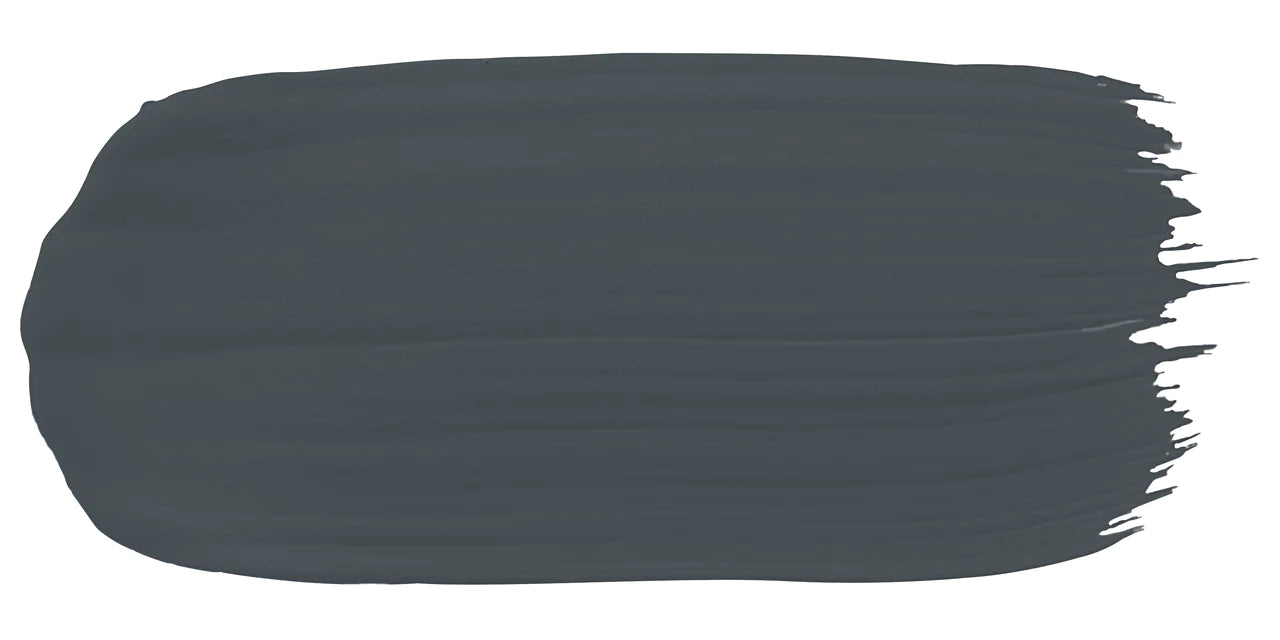 Squid Ink - Paint