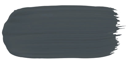 Squid Ink - Paint