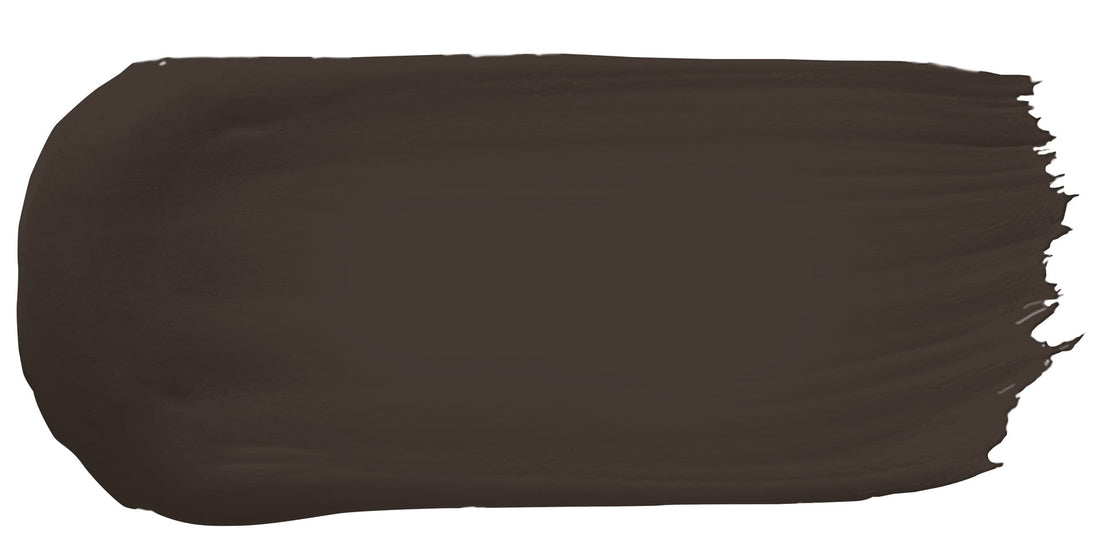 Turkish Coffee color paint sample