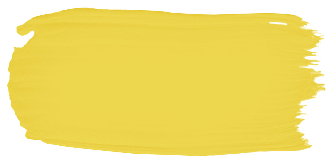 Zest color paint sample